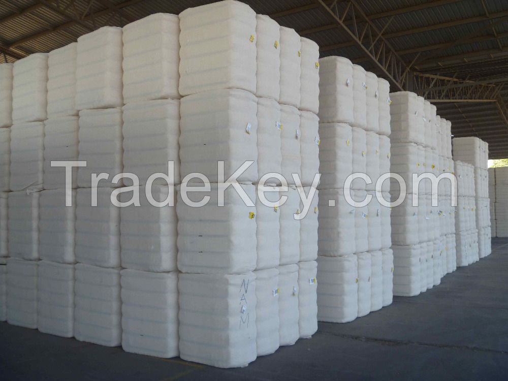 Raw cotton Fiber