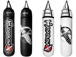 Hayabusa Punching bags.