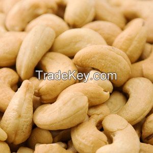 Cashew Nut