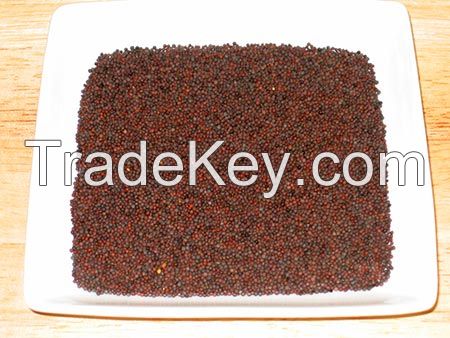 Dry Mustard Seeds