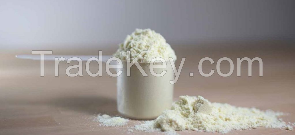 Whole sale Sweet Whey Powder