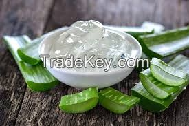 Aloe Vera Gel