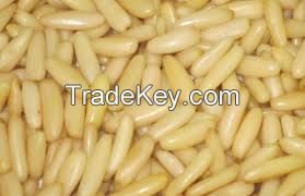 Pure Natural Dried Pine Nuts Kernel