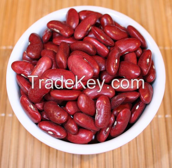 organic dark red kidney bean