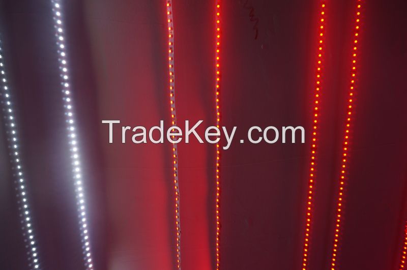 sell 240leds/m SMD3528 LED strip light