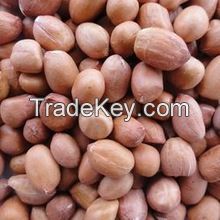 Best Quality Of Peanuts For Sale