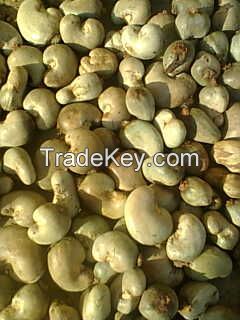 Raw Cashew Nuts