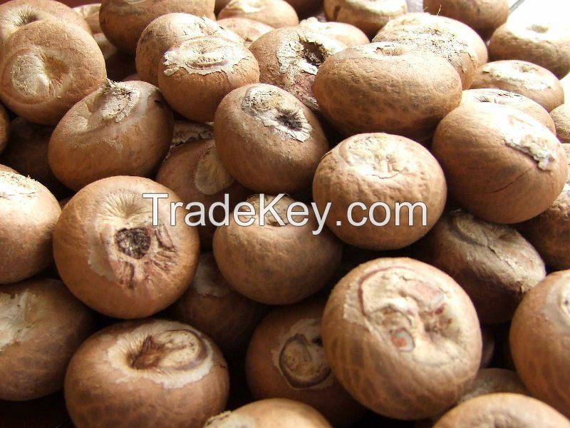 Betel Nuts, Brazil Nuts, Pecan Nuts, Pine Nuts, Chest Nuts