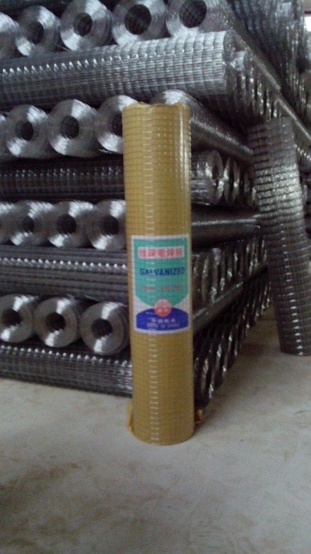 Galvanized welded wire mesh in China, telephone:008615030192333