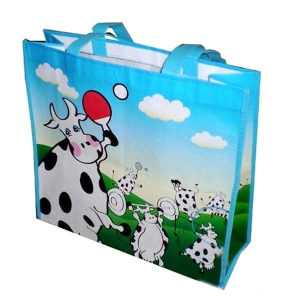 Non-Woven Dualis Totes