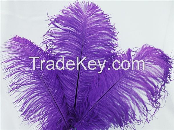 OSTRICH FEATHERS