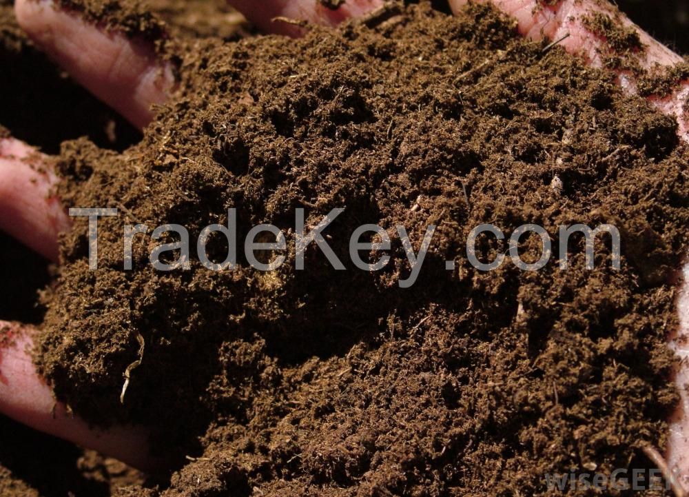 Peat Moss