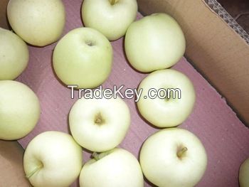 Fresh Golden Delicious Apple