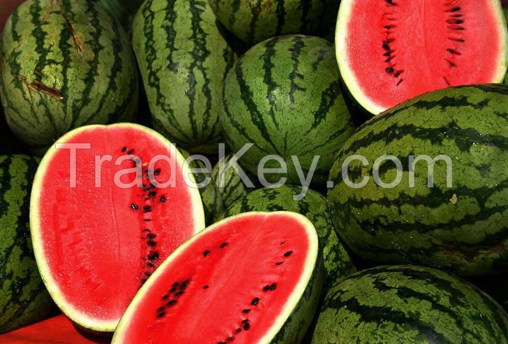 WATER MELON