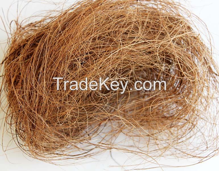 100% Natural Coir Coconut Fiber / Natural Sun dried Coconut Fiber