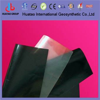 Textured surface geomembrane