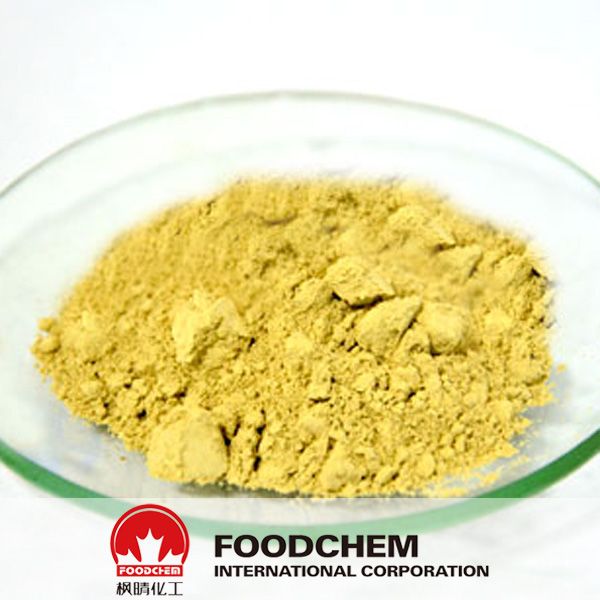 High Quality Rosemary Powder Extract