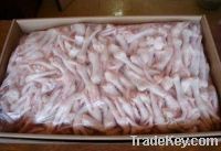 Sell Processed And UnProcessed Frozen Chicken Feet