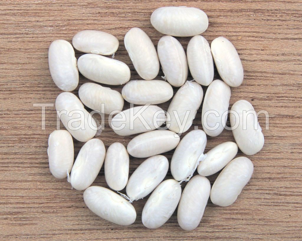 White kidney beans