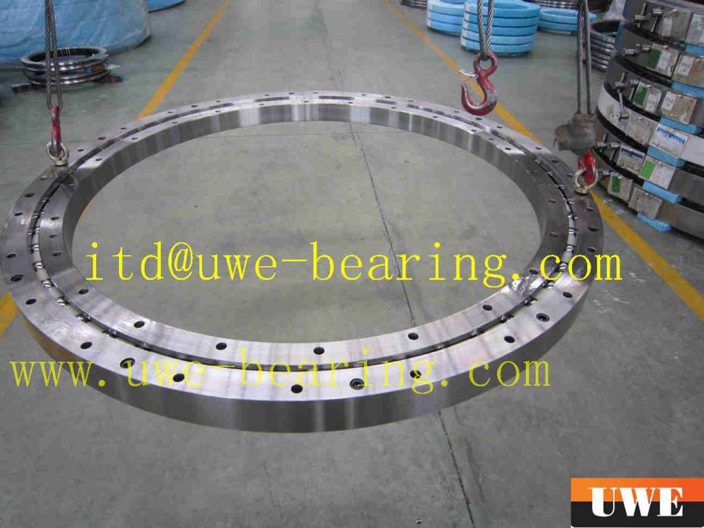 300mm-2000mm Crane Slewing Ring Bearing11768/630