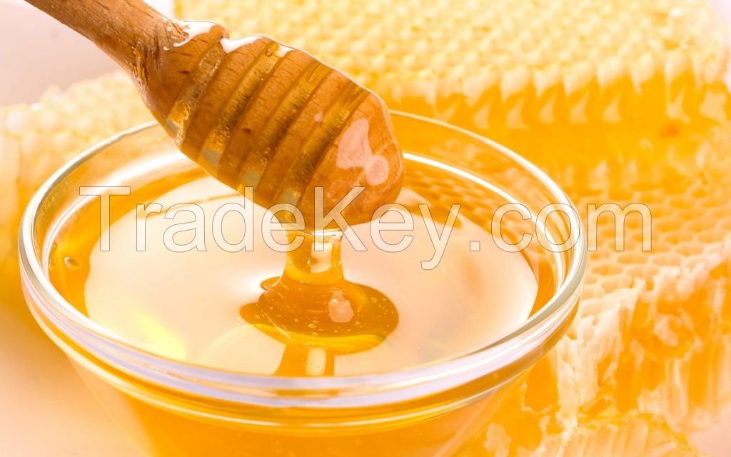 100% Pure Organic Bee Honey whole sale supply