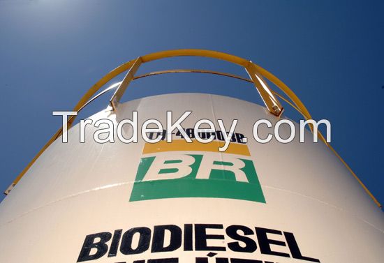 Biodiesel Fuel