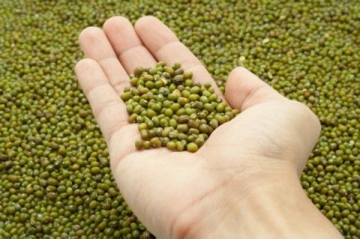 green mung beans