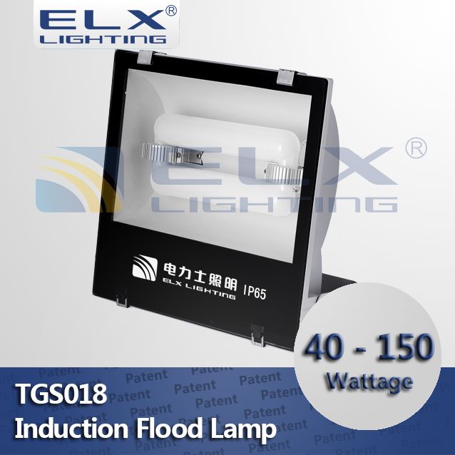 40W 60W 80W 100W 120W 150W inductive lamp flood light