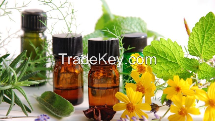 100% Organic Essential Oils For Sale