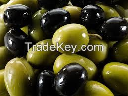 Fresh Olives