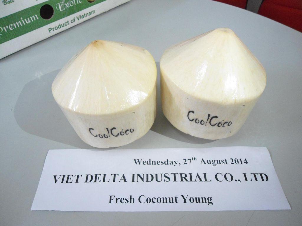 Fresh Young Coconut