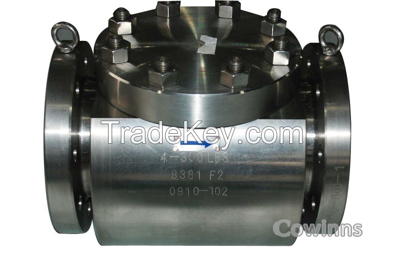 Titanium check valve