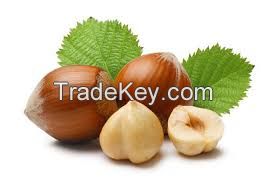 Italian company sell hazelnuts