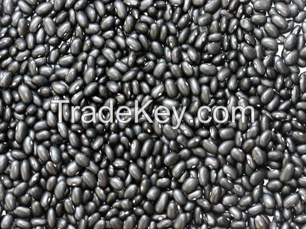 Bulk Dried Black kidney beans