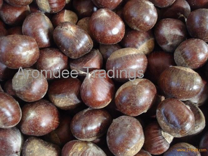 Sell New Super Chestnut