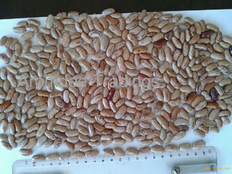 Sell Light Speckled Kidney Bean (LSKB)