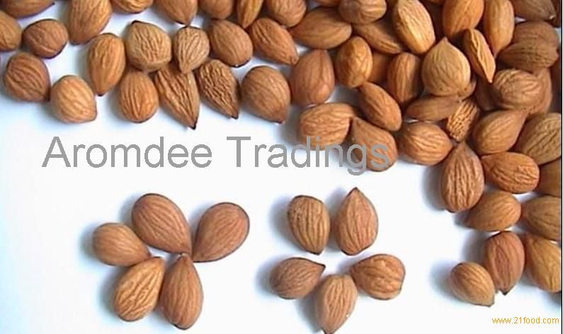 Sell Almond/Apricot Kernel with High Quality