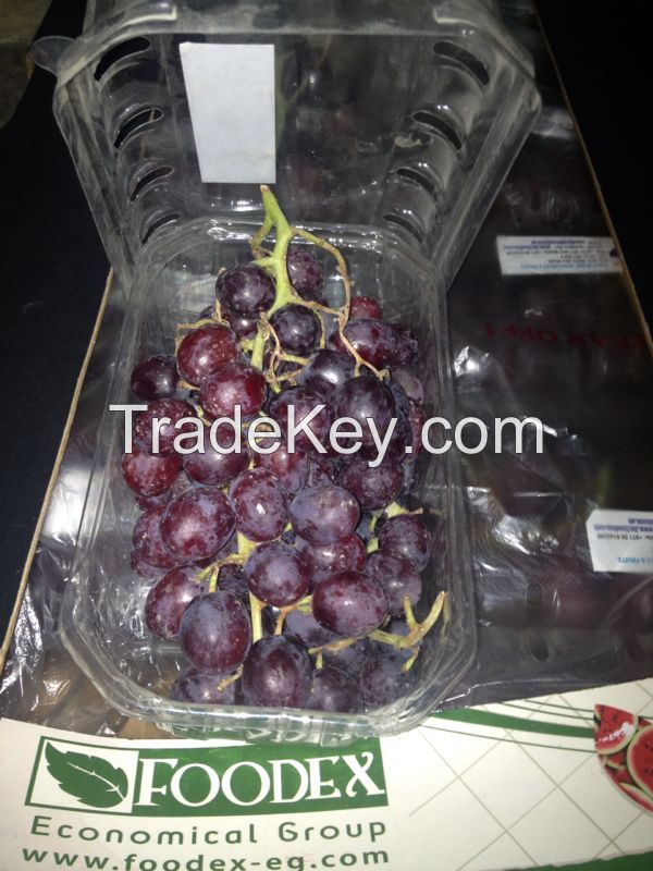 Fresh Grapes(Flame, superior, Red Globe)