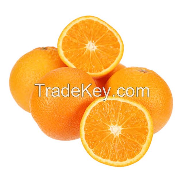 Fresh fruit South Africa origin Citrus Oranges Valencia, fresh Plums, Frozen Plums, Pear, Avocado, Paw paw