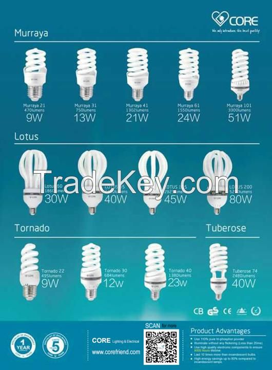 Energy Saving Lamps