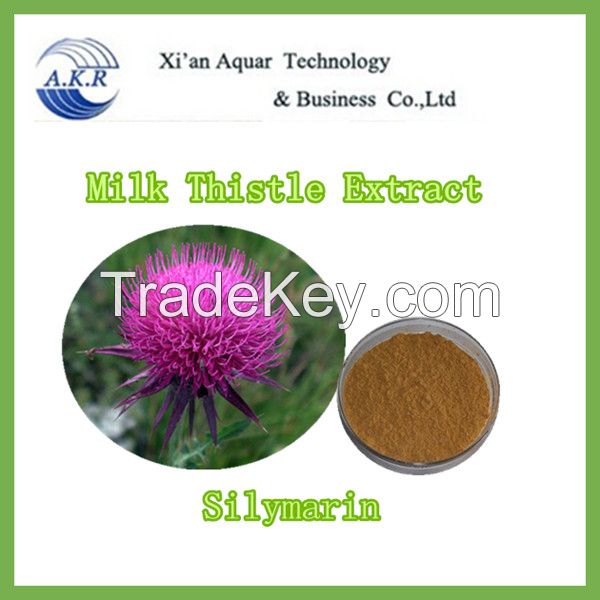 herb medicine protect liver milk Thistle extract silymarin