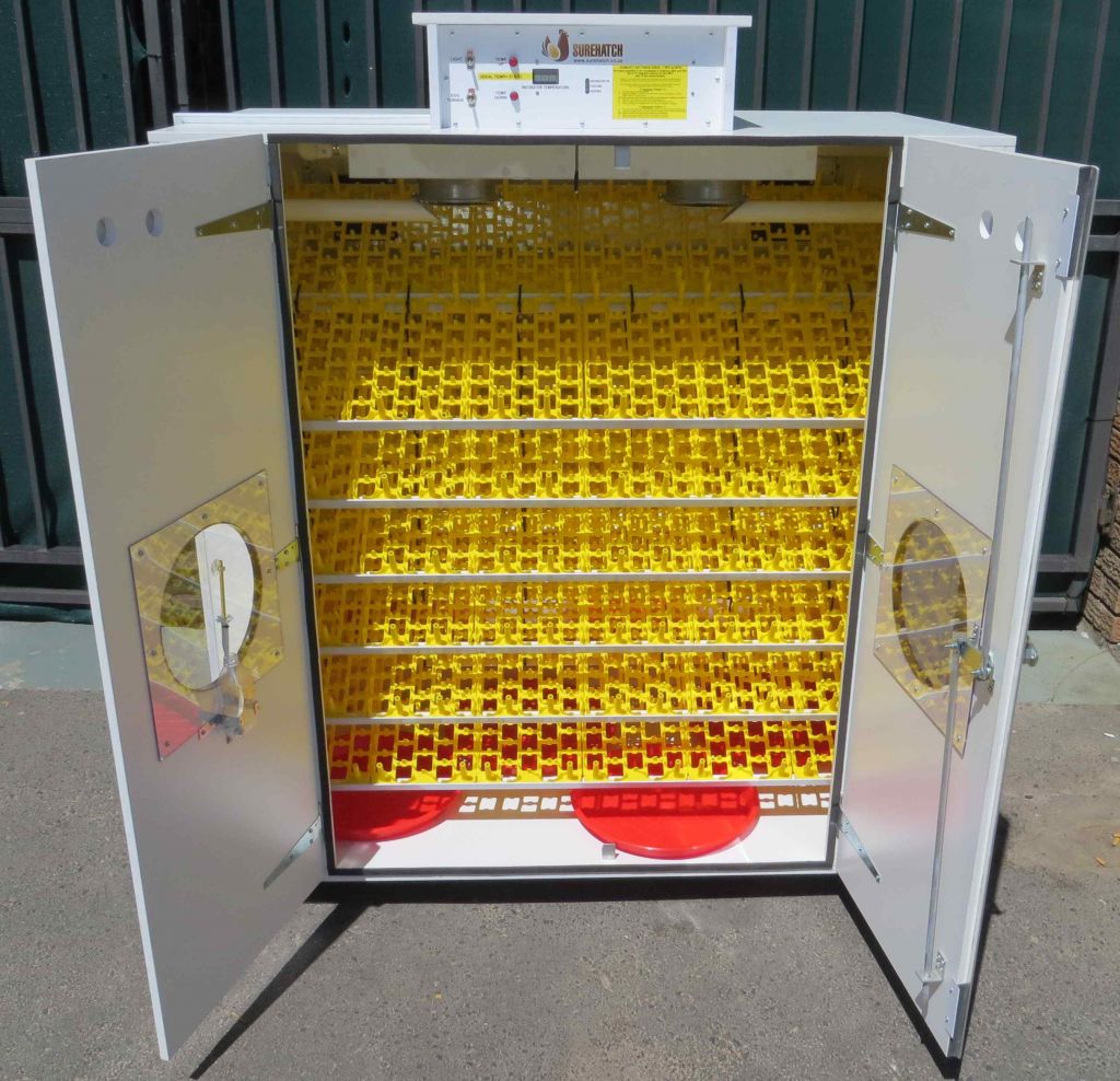 Full Automatic Eggs Incubators