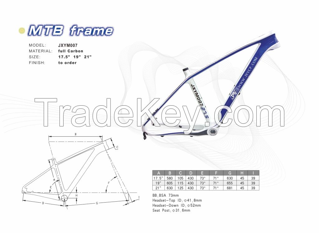 Carbon Fiber MTB Frame