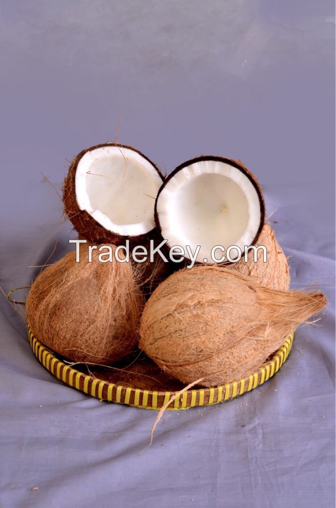 Coconut