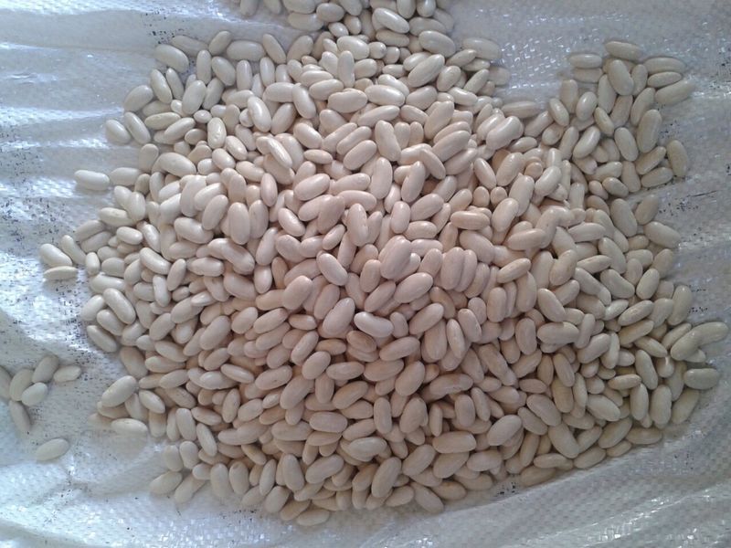 white kidney beans