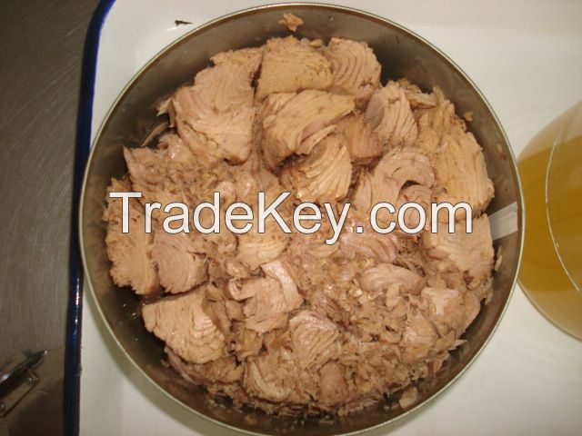 RO1000 CANNED TUNA IN OIL