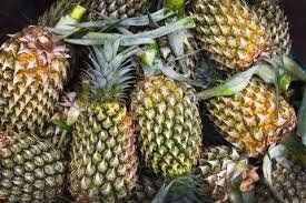 Fresh Pineapples