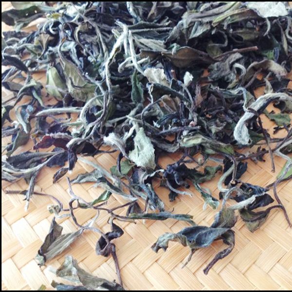 Wholesale FuDing TaiMu mountain wild loose tea white tea shoumei