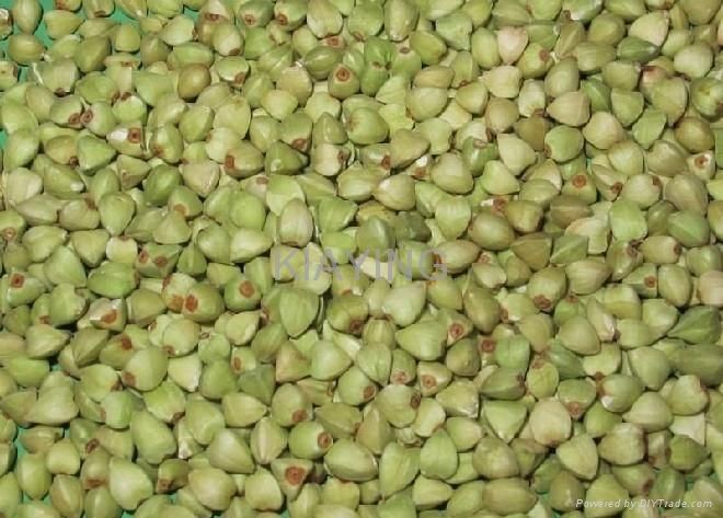 Raw Green Buckwheat Kernel