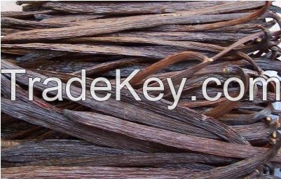 Vanilla beans for sale